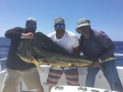 Greatest Mahi In Rivera Beach 